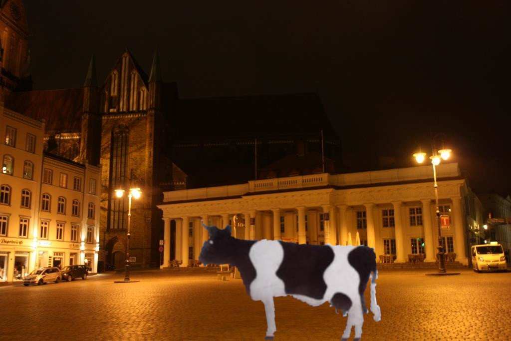 krowa w mieście (1)