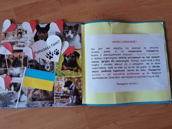 Podsumowanie akcji „ Podaj rękę zwierzętom z Ukrainy”
